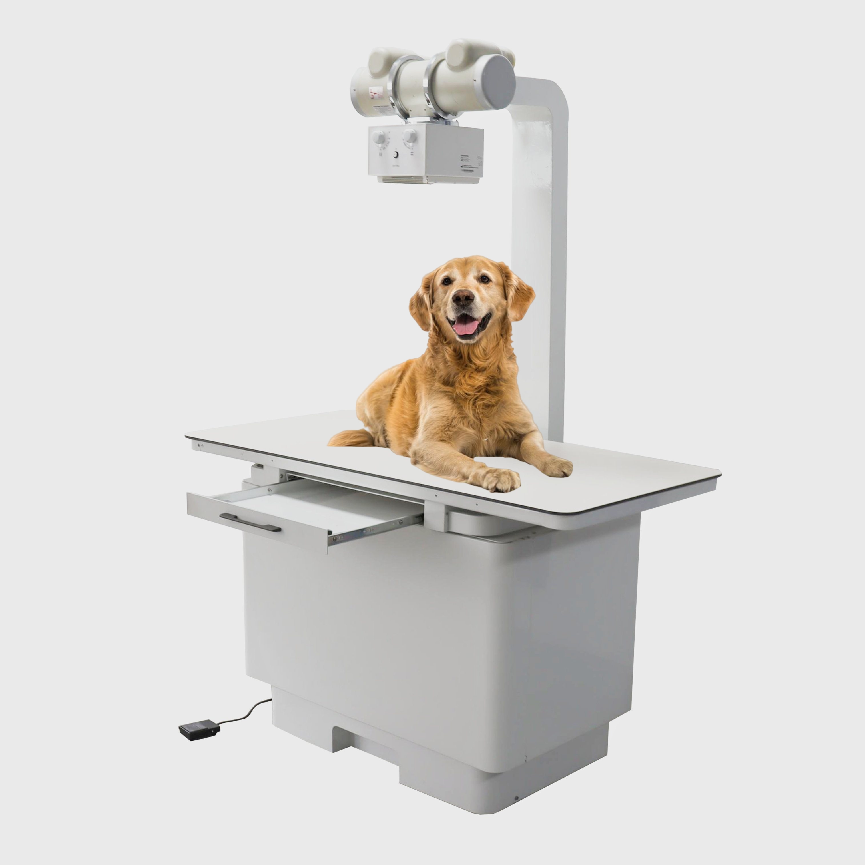 Macchine veterinarie professionali per radiografia digitale