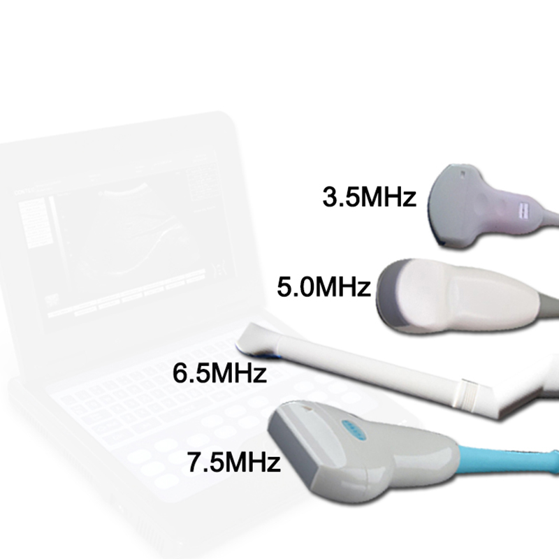 Sistema diagnostico veterinario ad ultrasuoni CMS600P2VET