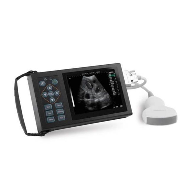 Macchina per ultrasuoni veterinaria per strumenti diagnostici ad ultrasuoni completamente digitali CBV-A10