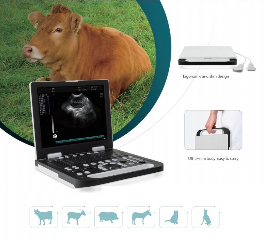 Scanner per ultrasuoni veterinario digitale completo da 15 pollici con interfaccia a 2 sonde CBV-RS-N50