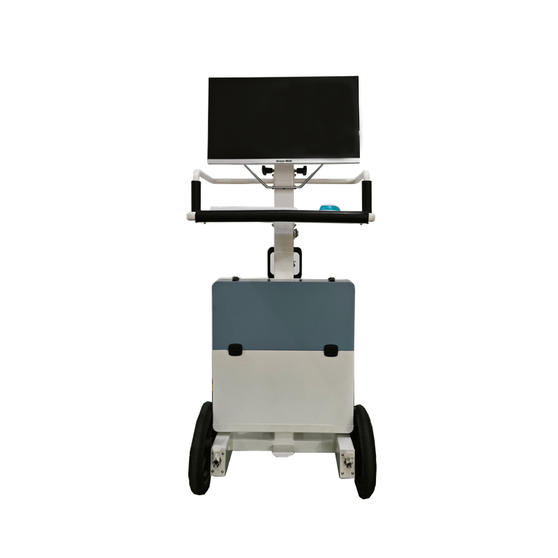 Sistema di radiografia digitale portatile veterinario INP-5KW-A