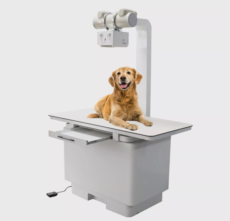 macchina a raggi X veterinaria per tazzabear