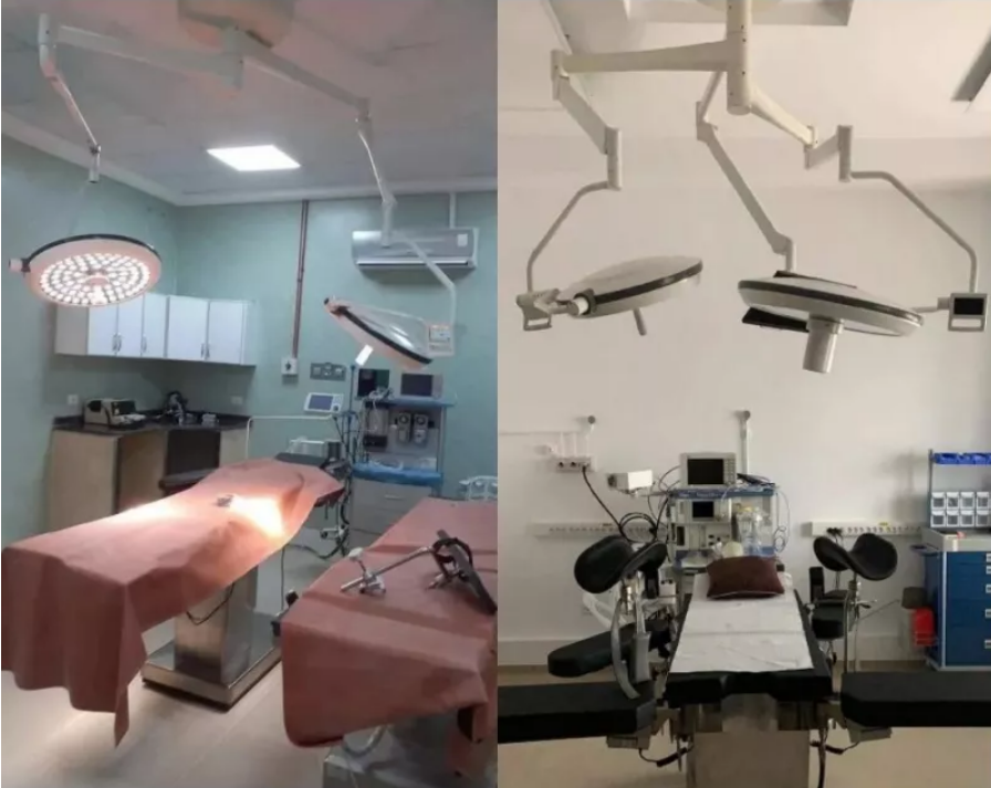 Soluzioni di illuminazione veterinaria di CUPABEAR