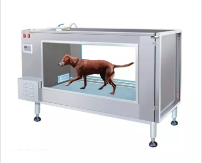 Macchina terapia del tapis roulant subacqueo canino