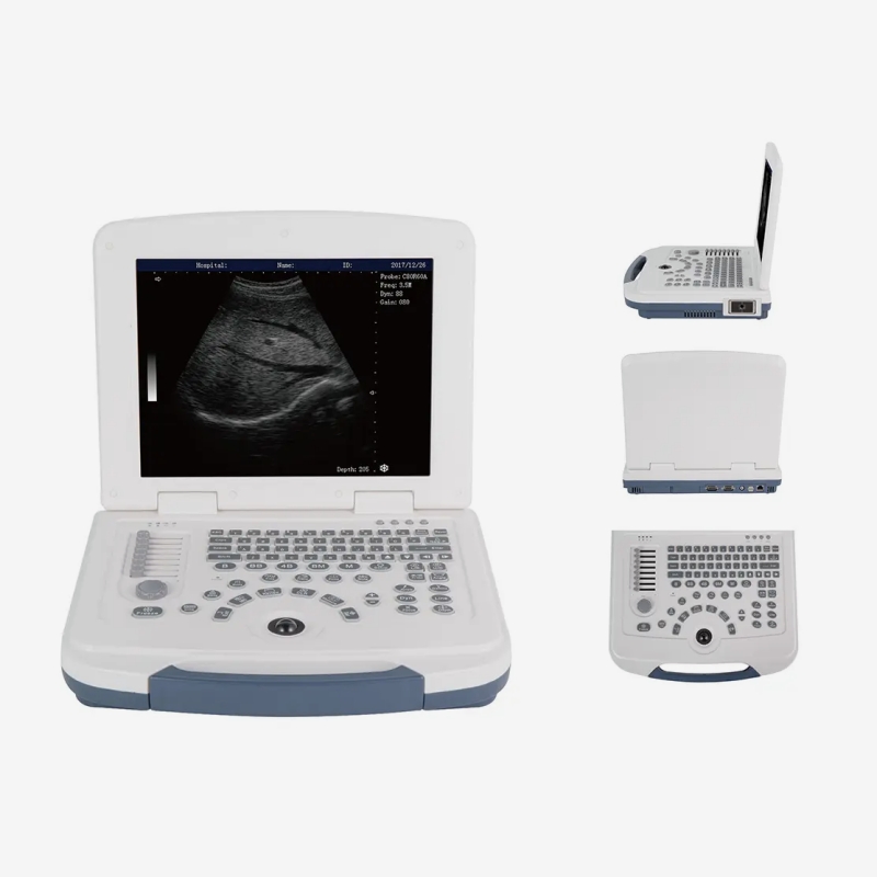Una guida completa agli scanner ad ultrasuoni veterinari